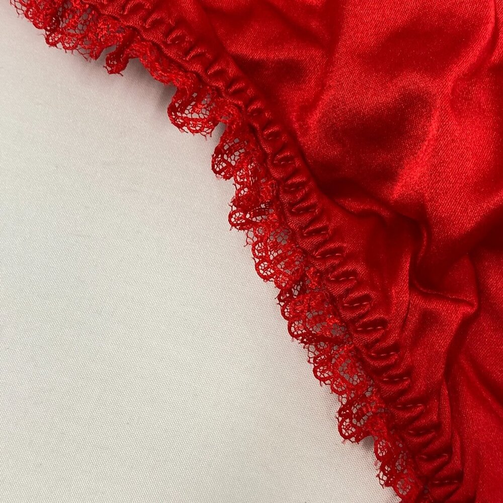 Agent Provocateur Felinda Red Silk Brief AP4 Large - Picture 9 of 11